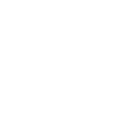 Beautiful Plumage