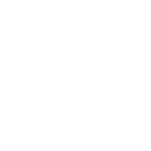 Secret Diary