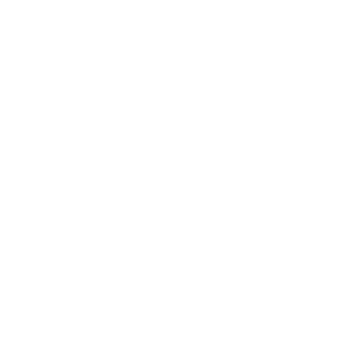 Primordial Chaos