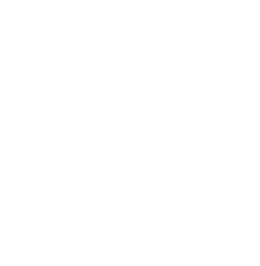 Skilled Negotiator