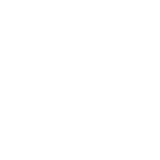 Flexible Lizard