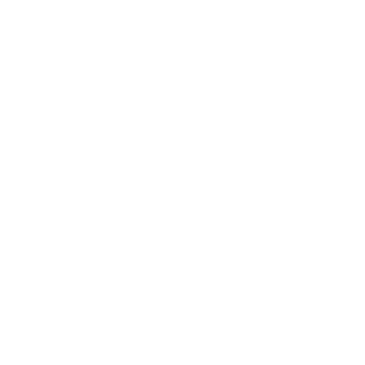 Cat Lover