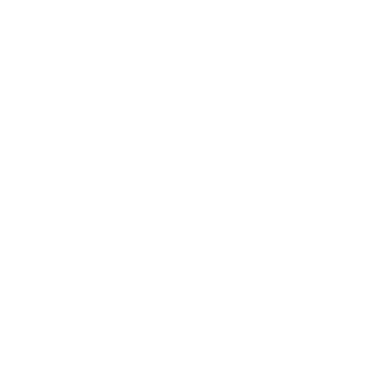 Reckless Fury