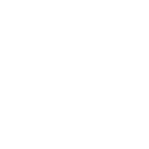 Heavy Armor Mastery